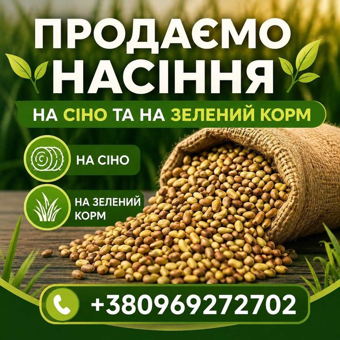 Насіння люцерни магніченої, якісне, для посіву