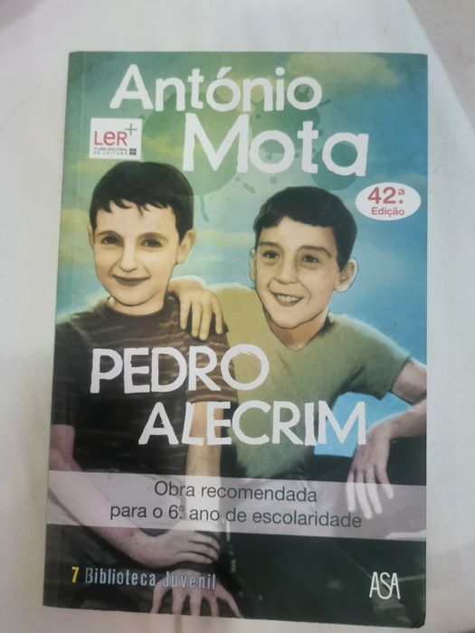 Pedro Alecrim, António Mota
