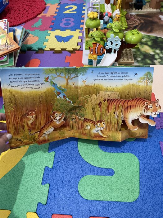 Livro pop-up animais da selva