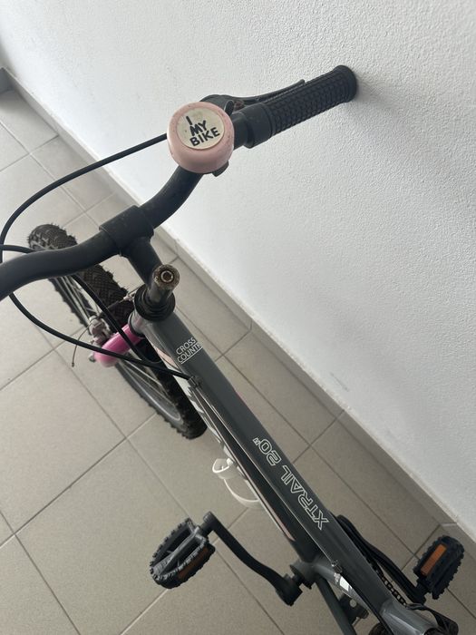 Bicicleta Criança Team X-Trail 20” com rodas de apoio - rosa e cinza