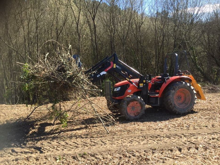 Limpeza e manutenção de terrenos