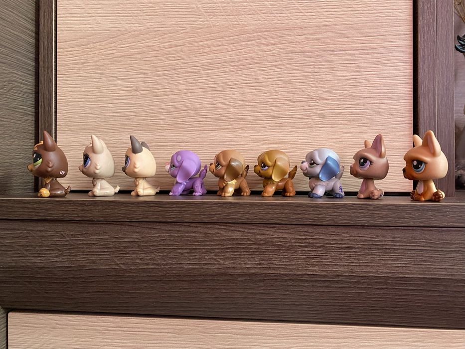 LPS Littlest pet shop psy zestaw