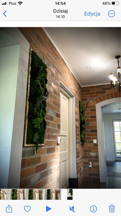 Obraz z mchów stabilizowanych do biura salonu żywy mech