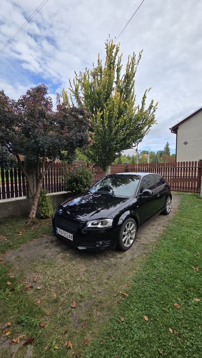 Audi a3 8p 2008 lift