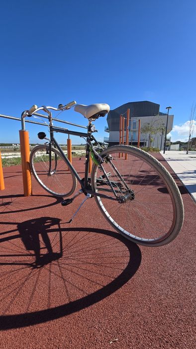 Bicicleta italiana (marca Alpina)