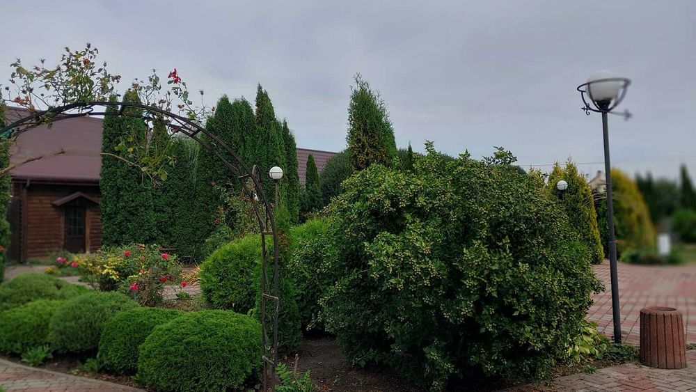 Оренда приміщення вільного призначення в Зарванцях