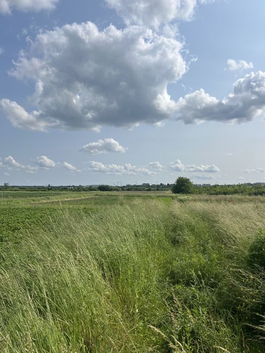 Підбірці пустомитівський район