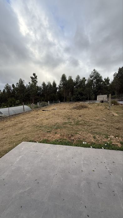 Limpeza de terrenos e jardins