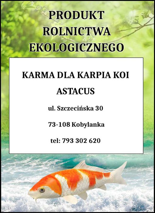 karma dla ryb karp pstrąg jesiotr KOI