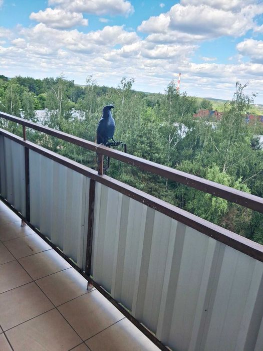 Zdjęcie 8