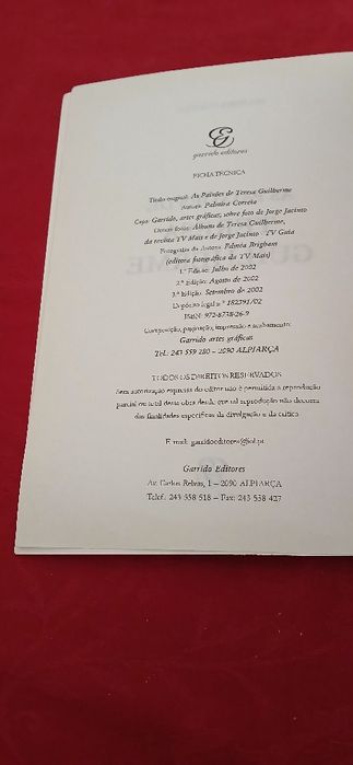 As paixões de Teresa Guilherme