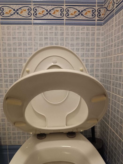 Tampo sanita SenSea com fecho suave silencioso e assento extra criança