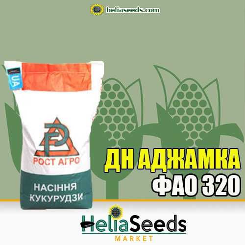 Насіння кукурудзи гібриди української селекції