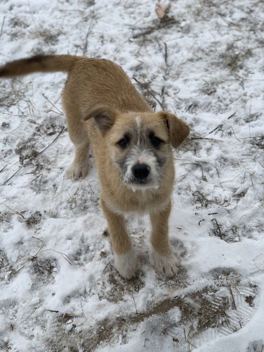 Хлопчик шукає родину