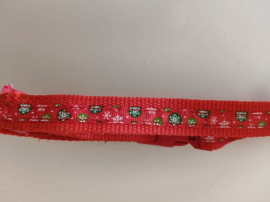 Coleira de Gato Usada