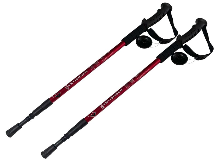 Палиці для скандинавської ходьбі