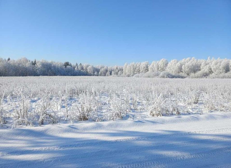 Продаж ділянки 10сот під дачну забудову. Фасад-25м. с.Улянівка. ID:745
