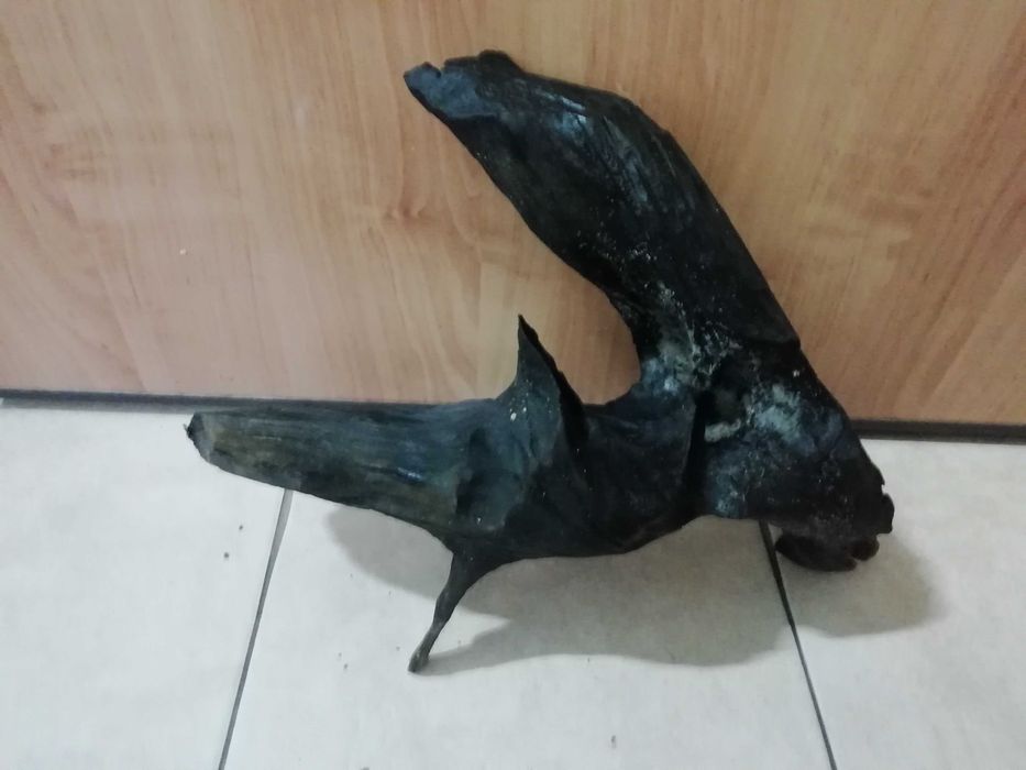 tonący korzeń o wymiarach 40x35x17