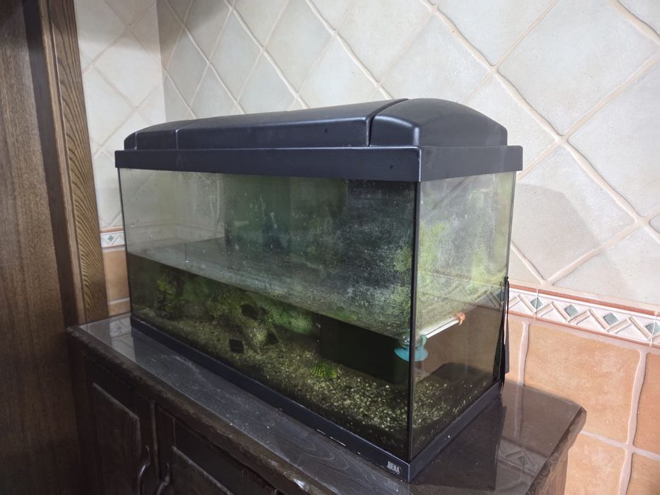 Aquário de Àgua  Quente