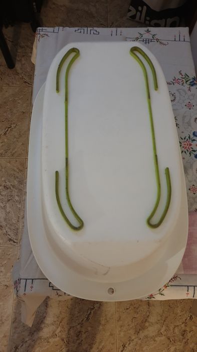 banheira de bebé ou  bacia