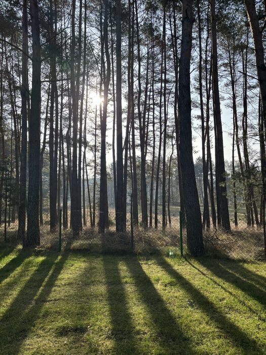 Domek w lesie, grzyby, balia. Mężyk