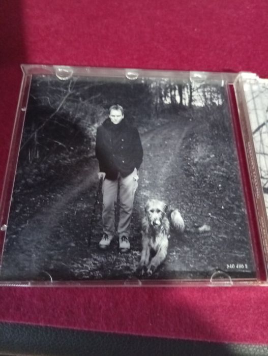 CD audio Sting Mercury falling