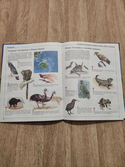 Книга для школьников