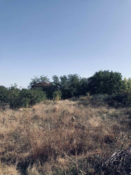 Земельный участок