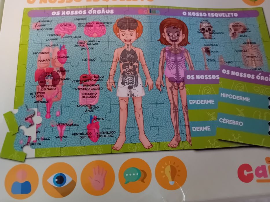 Conjunto de 3 Jogos Didácticos Infantis