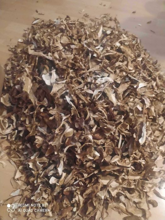 Borowik suszony tegoroczny z lasów na Kaszubach: )