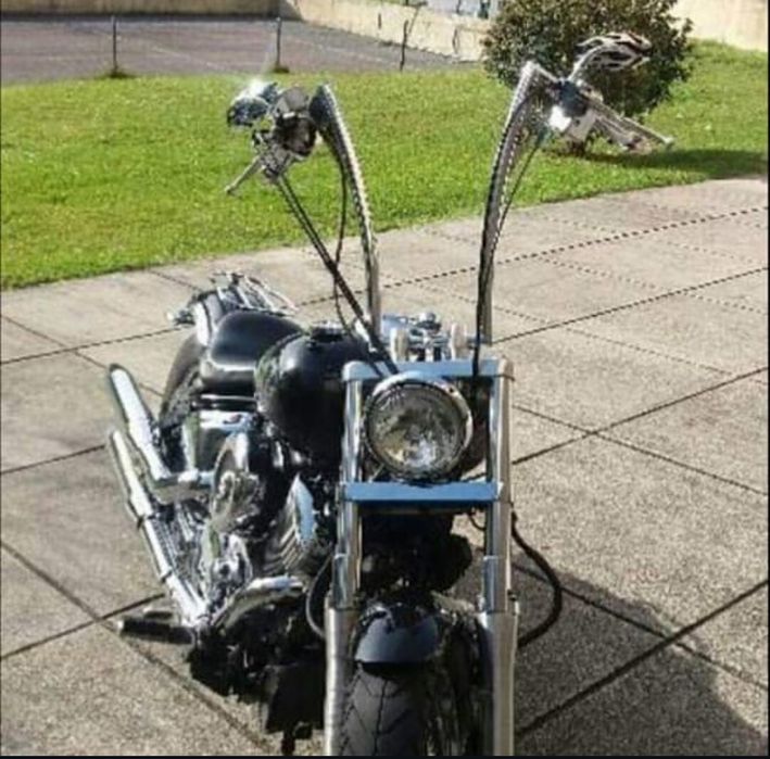 Mota Dragstar 1100