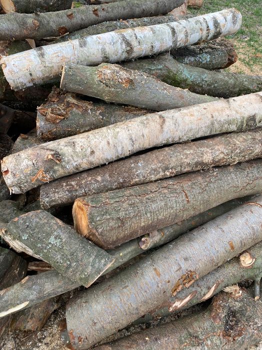 Drewno opałowe liściaste