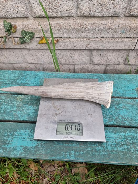 лакомство для собак рога оленя.(Свіжі)