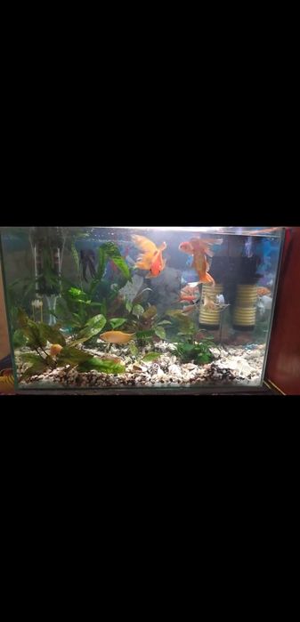 Аквариум на 90л в хорошому стані