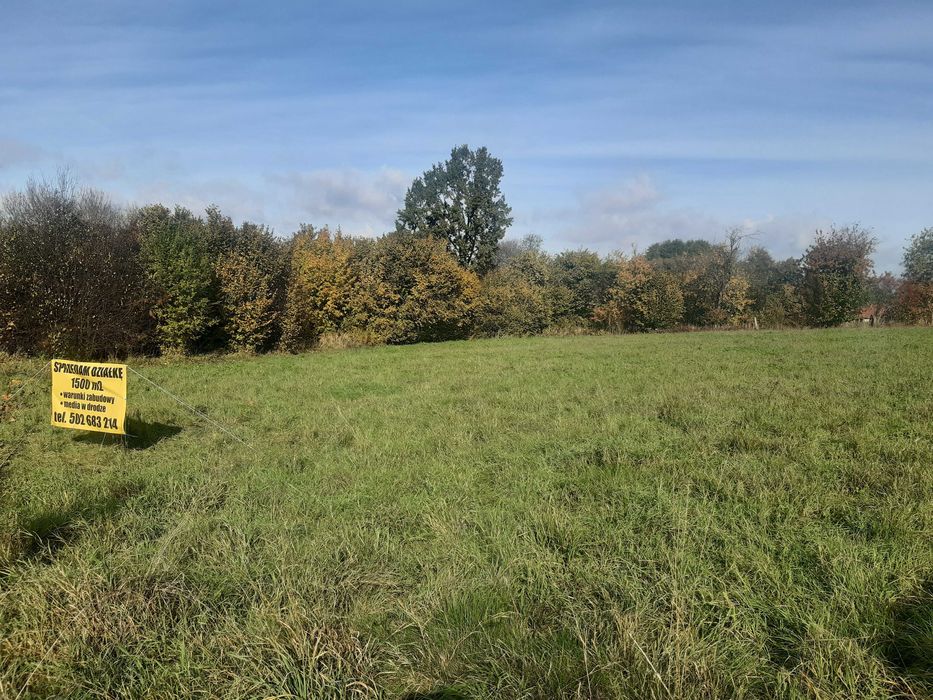 Działka z warunkami zabudowy, 1500 m2, Błeszno