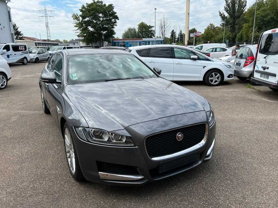 Бампер JAGUAR XF X260 запчастини розборка Ягуар іксф ікс260 шрот