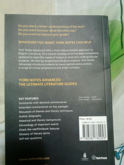 Мари Шелли Франкенштейн критика на английском