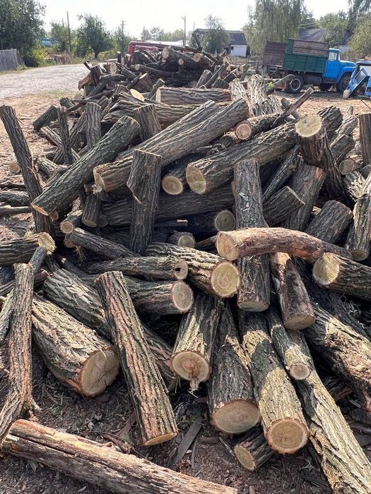 Продам дрова Рубані, Метрові (дуб, акація, береза)
