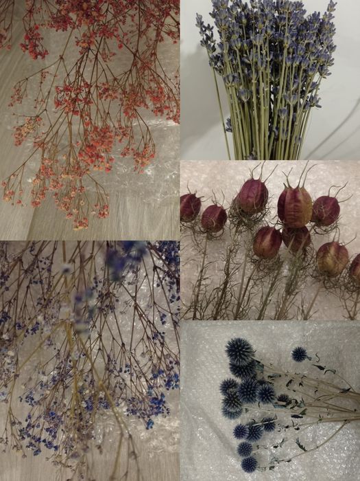 Букет з сухоцвітів,сухоцвіти,сухоцвети,композиція,подарунок,подарок