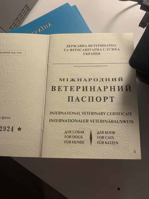 Міжнародний ветеринарний паспорт