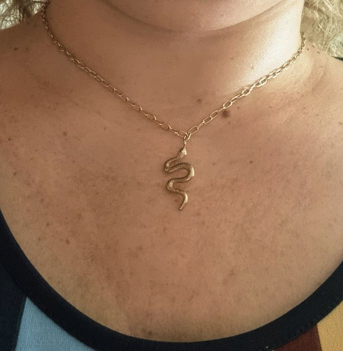Colar dourado, em aço, com pingente em formato cobra. Tem extensor