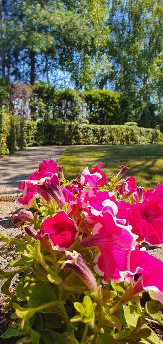 Domek nad morzem z balią jacuzzi na wyłączność