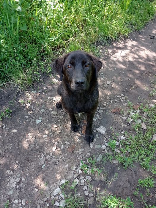 Терміново шукають родину