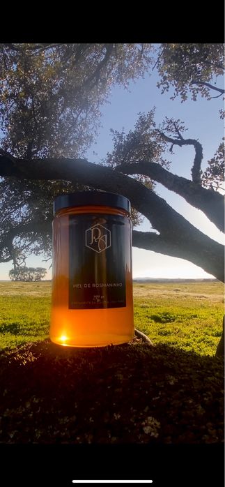 Mel de rosmaninho 900g