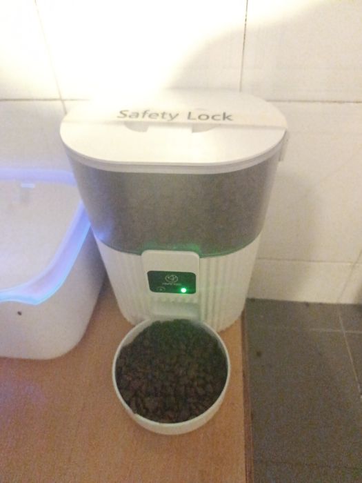 Máquina de comida pós gatos
