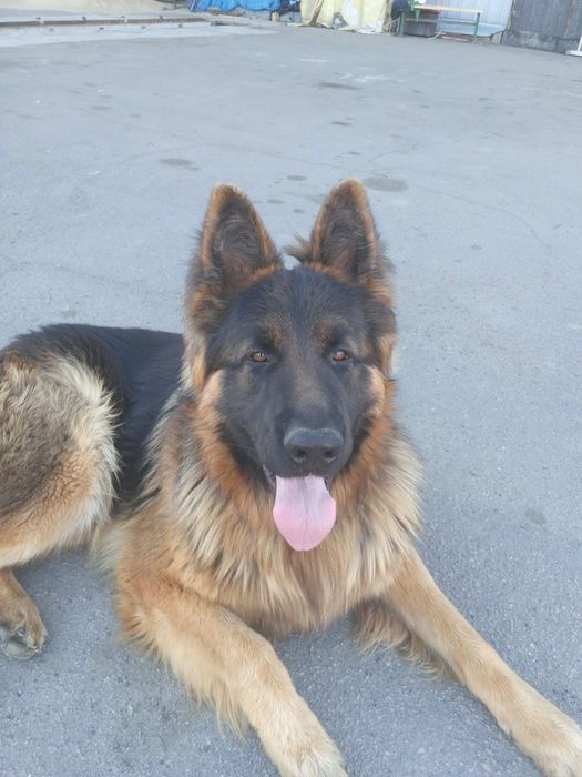 Шукаю половину для серйозних відносин.