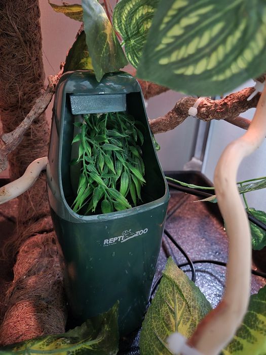 Terrarium klatka dla kameleona jaszczurki