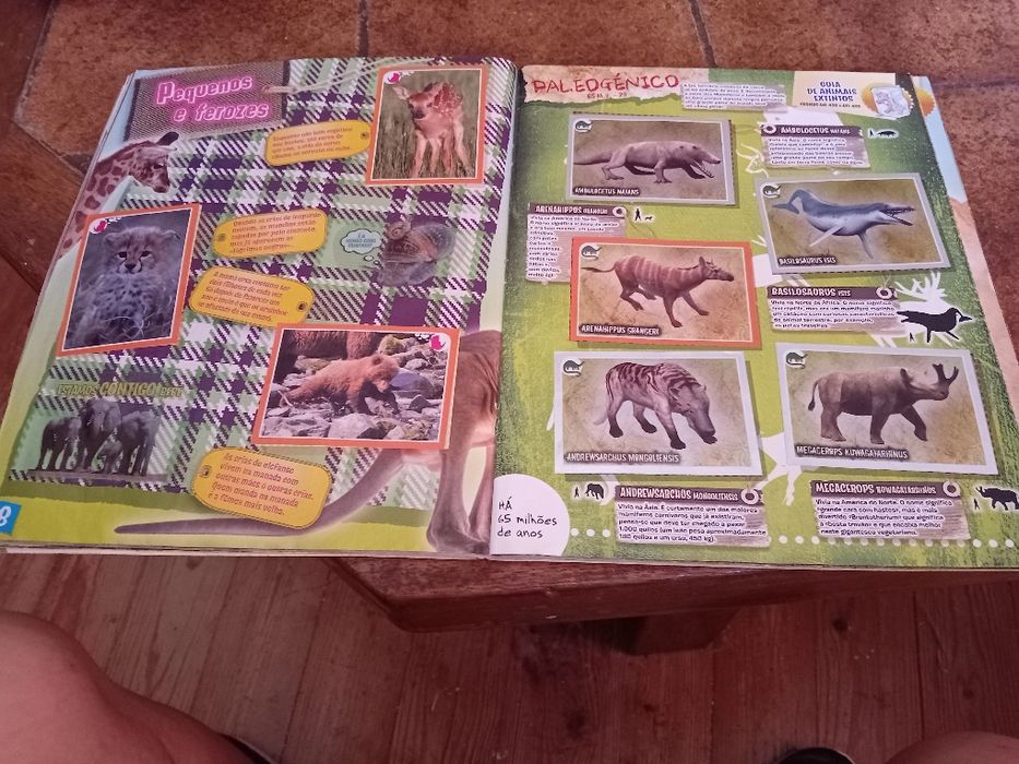 Animais 2013, caderneta cromos completa