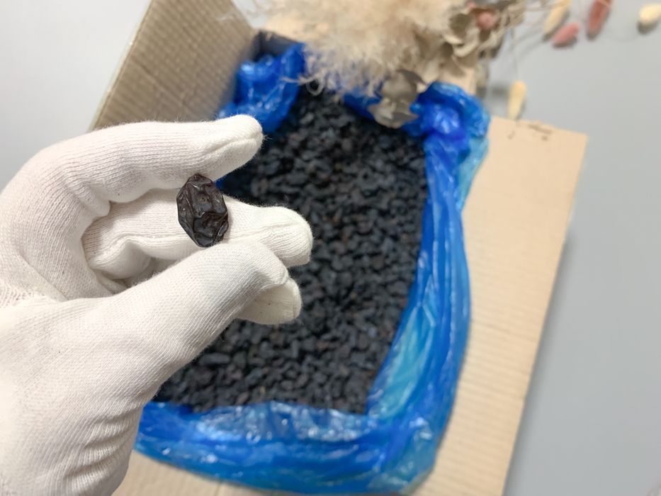 Родзинки сині без кісточок на Різдво до куті