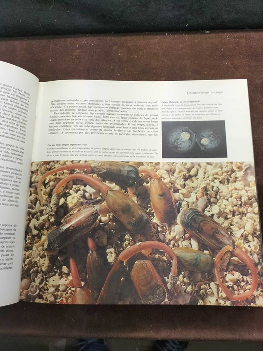 Livro A Vida Na Terra (CXL1)
